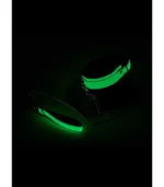 λάμπει στην νύχτα κολάρο λαιμού πράσινο