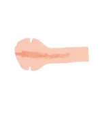 ανδρικό ερωτικό αξεσουάρ Hot Bombshell Γυναικείο Ομοίωμα