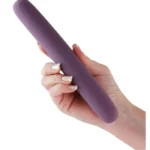 Δονητής Amore Double Vibrator για ζευγάρια